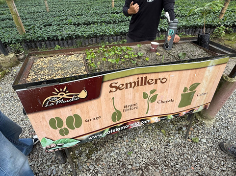 Café La Morelia-El Caimo必去景点