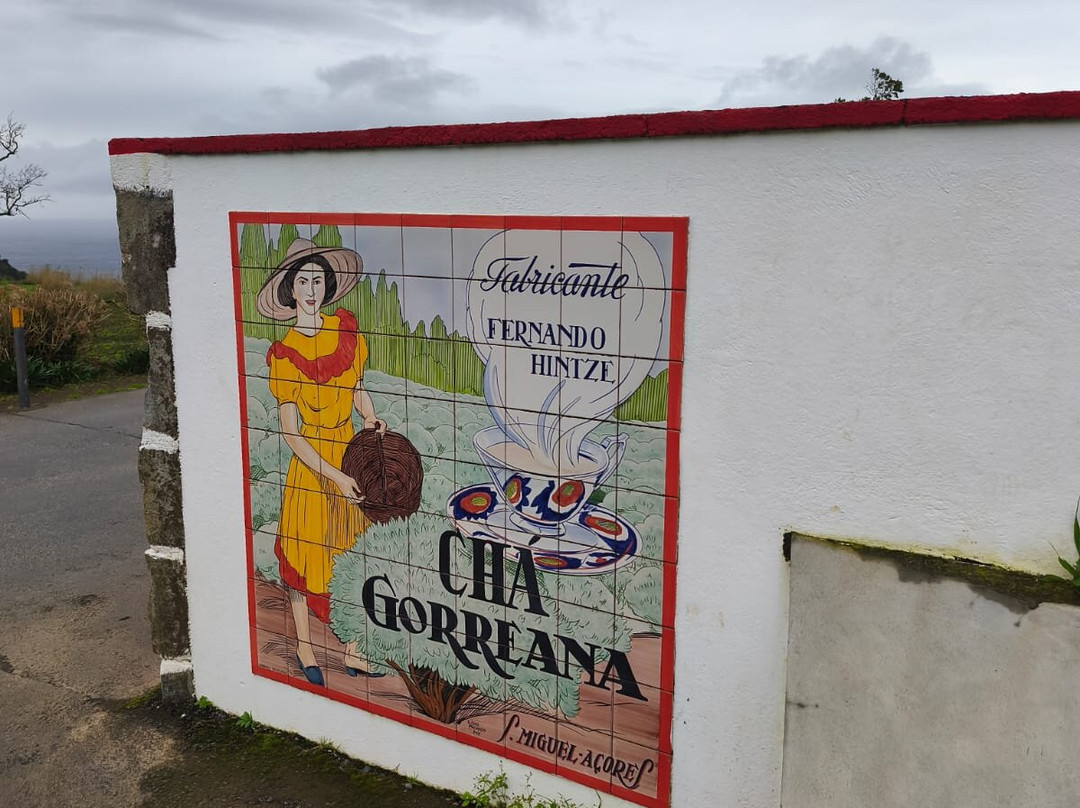 Fábrica de Chá Porto Formoso-Porto Formoso必去景点