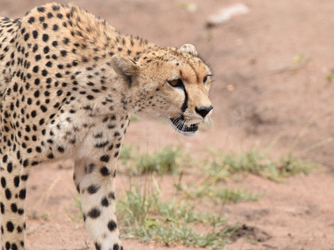 Tumbili-莫西必去景点