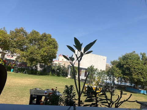 Eartham cafe pushkar