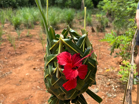 Eden Tours and Travel-桑给巴尔岛必去景点