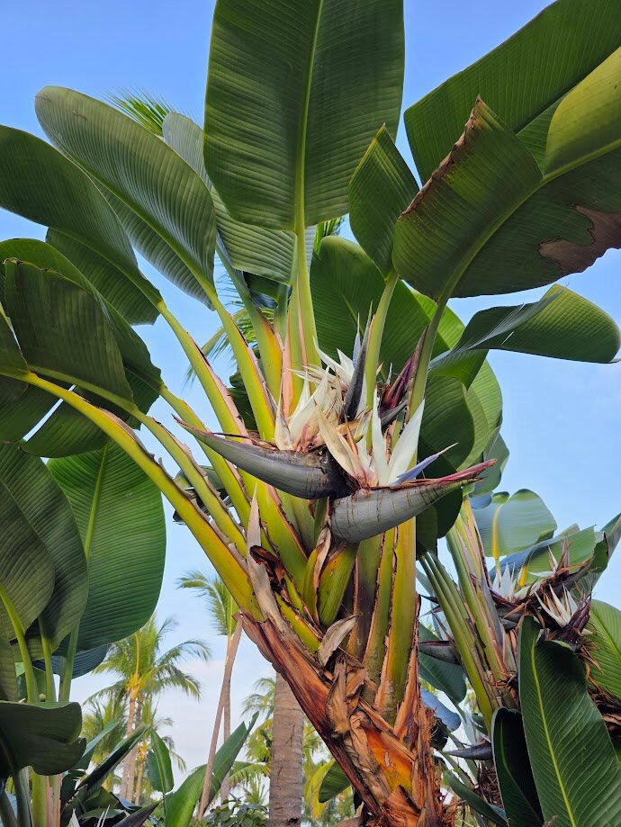 普韦布洛博尼托翡翠湾酒店-全包-浴室