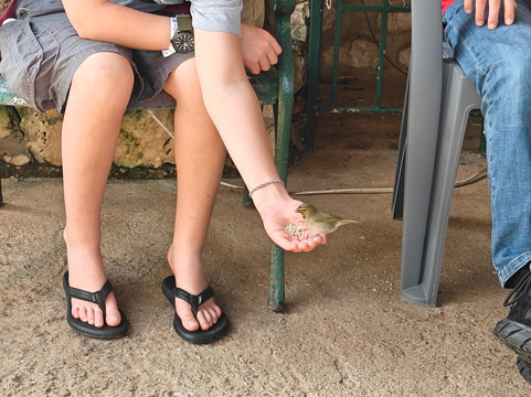 罗克兰兹鸟类保护区-Wiltshire必去景点