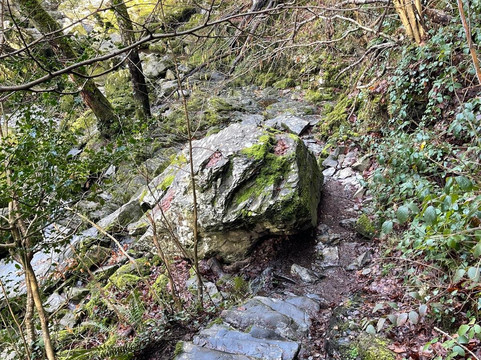 Fairy Glen-Betws-y-Coed必去景点