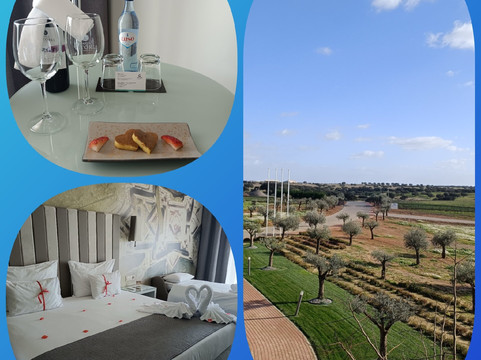 Vila Galé Collection Monte do Vilar  杜罗酒庄与自然度假村主图