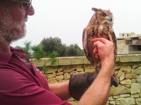 Malta Falconry Centre-Siggiewi必去景点