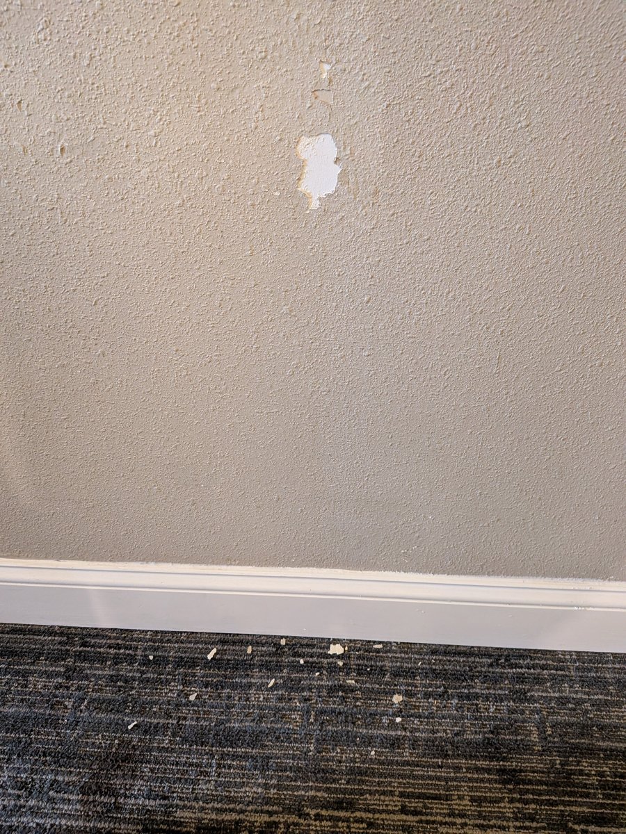 希尔顿逸林酒店-劳雷尔-客卧