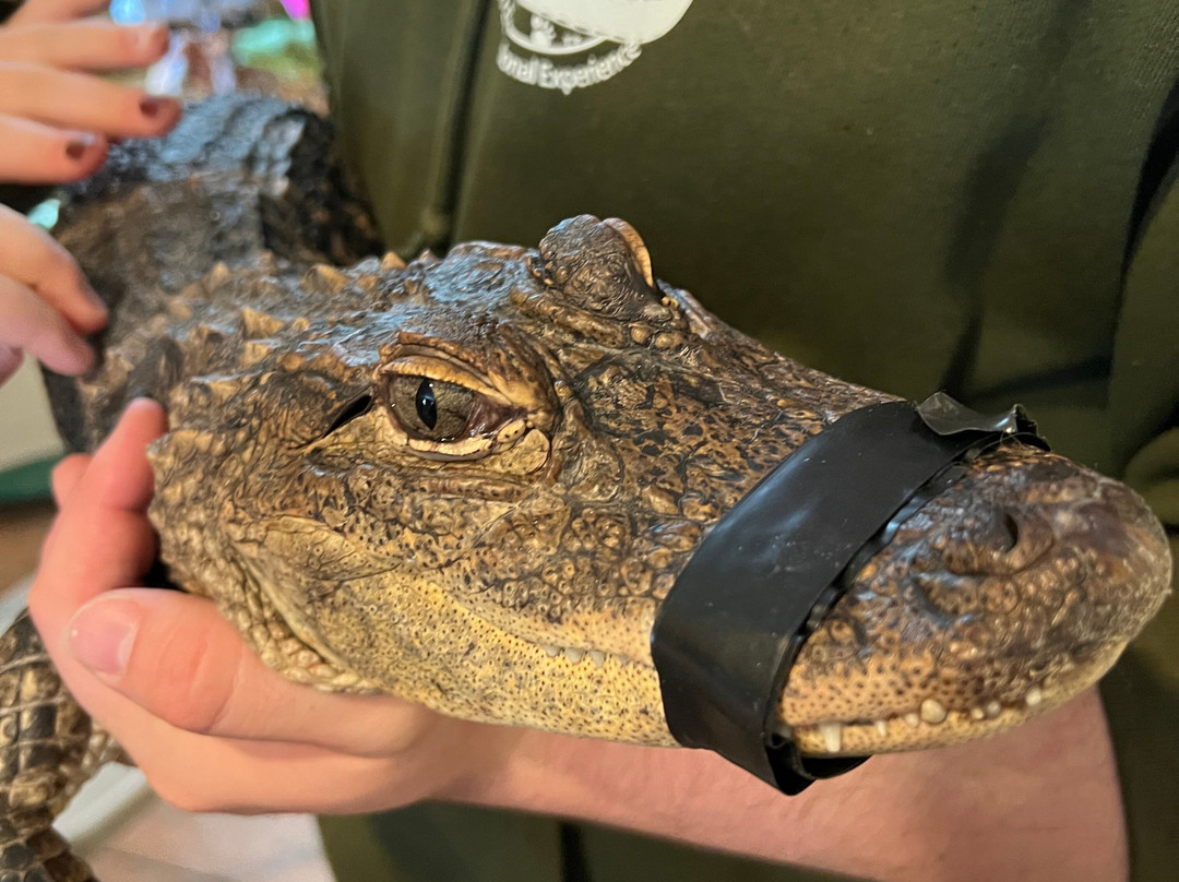 Animal Adventures Family Zoo & Rescue Center-Bolton必去景点