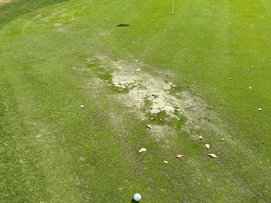 Henderson Golf Club-萨凡纳必去景点