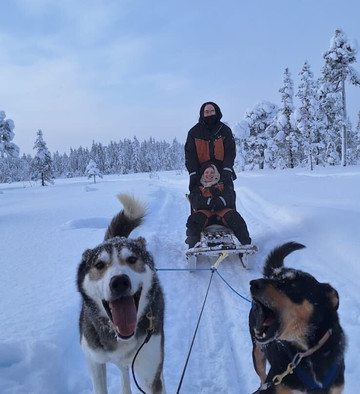Wingrens Dogsafaris-Kongas必去景点