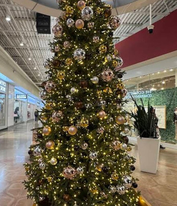 Tanger Cookstown-Innisfil必去景点