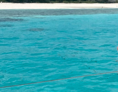 ScubaCaribe, Zanzibar-孥归必去景点