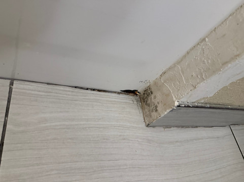 葛雷斯雷克舒适套房酒店-近利伯蒂维尔北主图