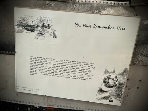 Wings Aviation Museum-Balcombe必去景点