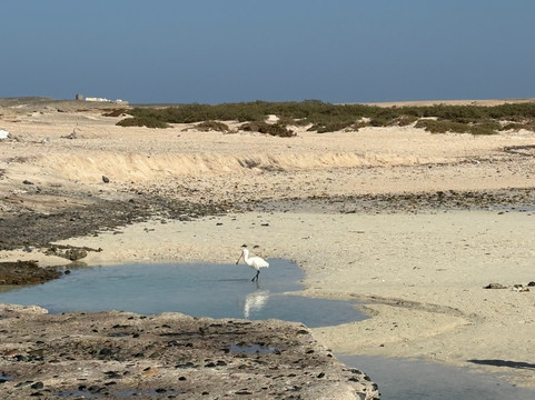 Marsa Alam Tours-马萨阿拉姆必去景点