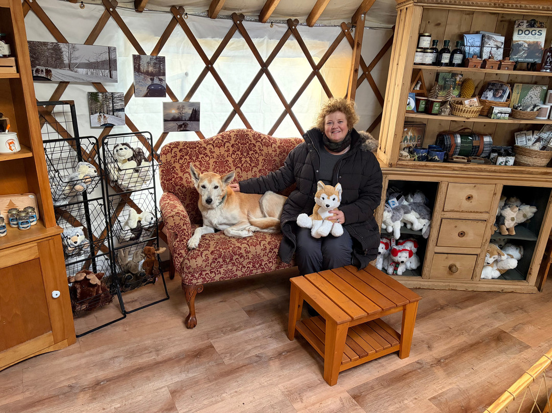 Ultimate Dog Sledding Experience-Canton必去景点