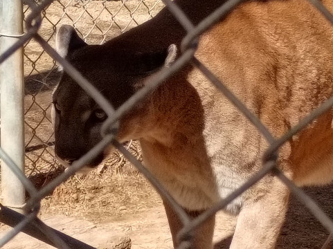 Southwest Wildlife Conservation Center-斯科茨代尔必去景点