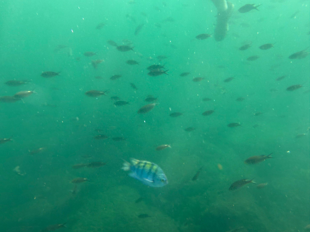 Bay of Banderas-瓦拉塔港必去景点