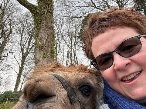 Alpacaly Ever After-Portinscale必去景点