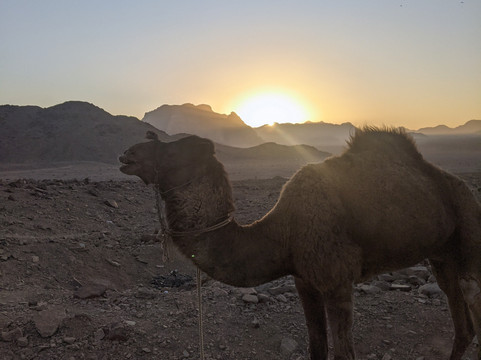 Jordan Trail Guide-佩特拉必去景点