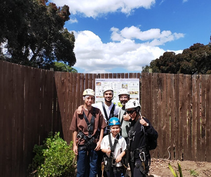 Cape Canopy Tour-Elgin必去景点