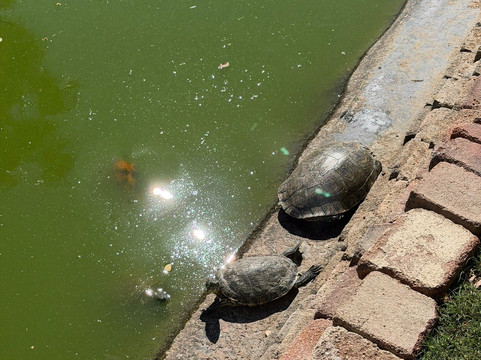 Flora Farms-洛斯卡布斯必去景点