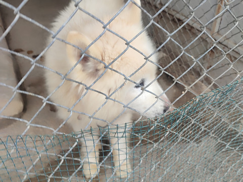 Basaranlar Thermal Spa-Afyonkarahisar必去景点