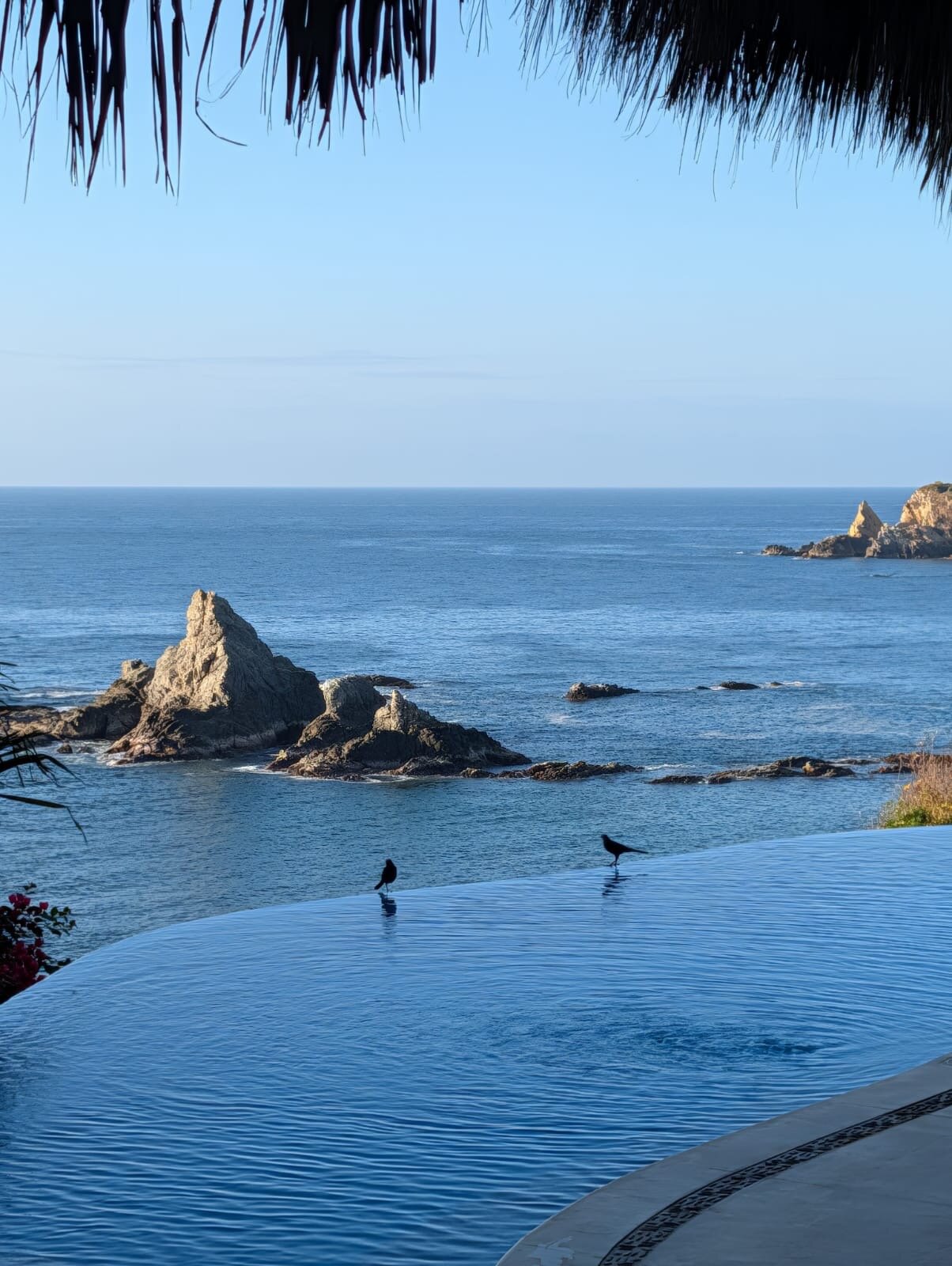 索亚酒店 - 限成人-官方