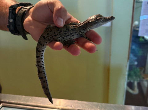 Koorana Crocodile Farm-Coowonga必去景点