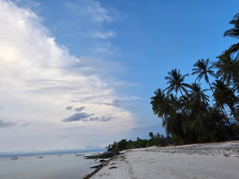Fun Divers Zanzibar-奔巴岛必去景点