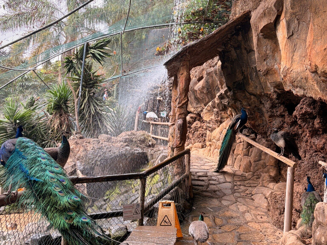 Maroparque Isla de La Palma-Brena Alta必去景点