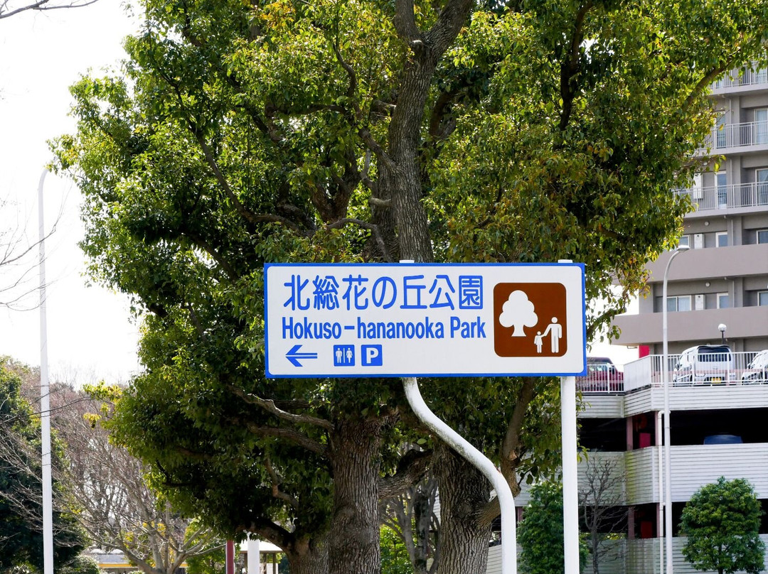 Hokusouhananooka Park-印西市必去景点