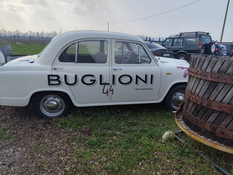 Cantina Buglioni-Corrubbio di Negarine必去景点