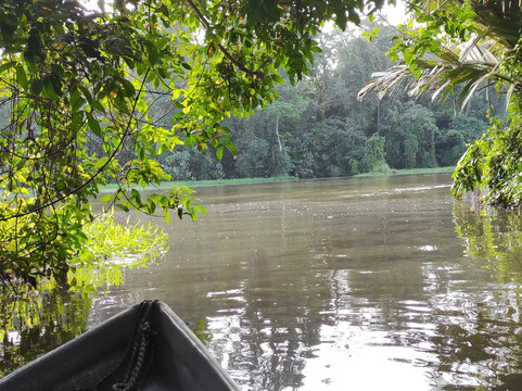 阿拉卡丽花园旅馆主图