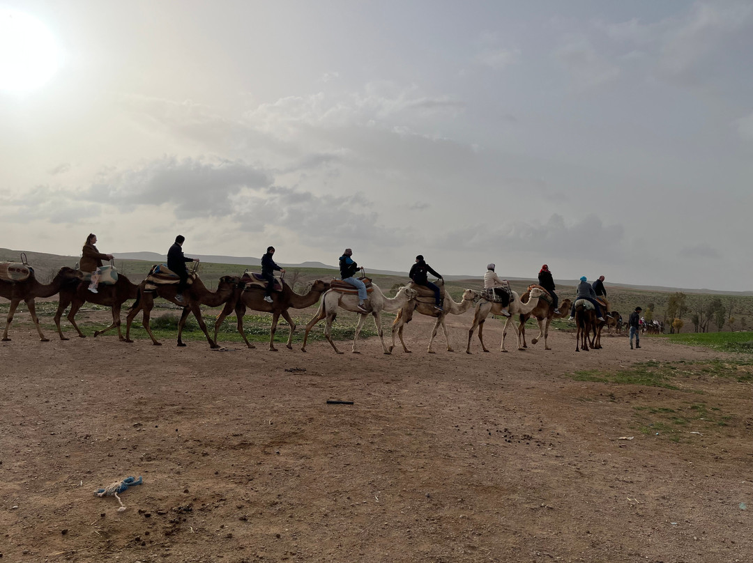 Momo Excursions-马拉喀什必去景点