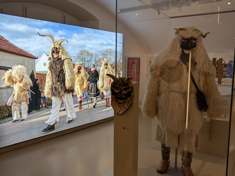 Donauschwäbisches Zentralmuseum-乌尔姆必去景点