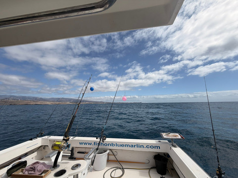 Fish On-San Bartolome de Tirajana必去景点