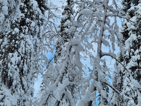 Lapland Travel-Akaslompolo必去景点