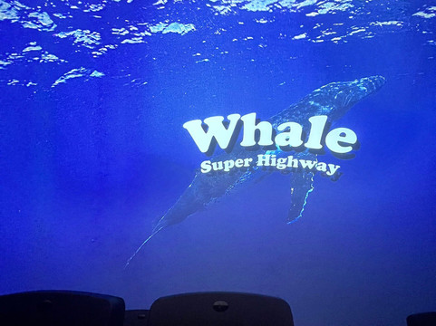 西澳海事博物馆-弗里曼特尔必去景点