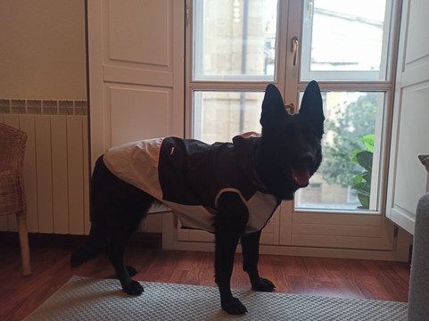 Centro historico de Haro-哈罗必去景点