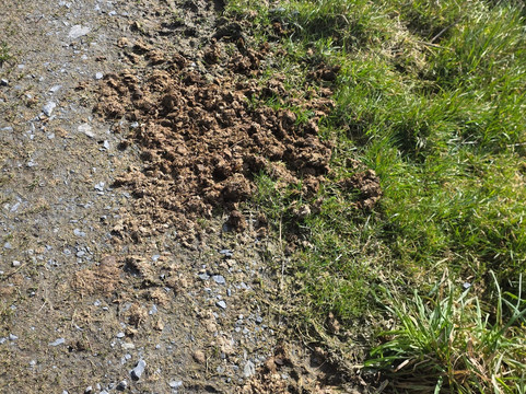 Drumkeeragh Forest-Castlewellan必去景点