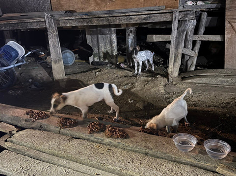 Koh Mak Temple-玛岛必去景点