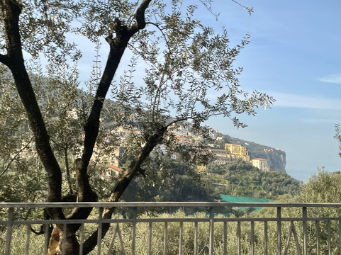 Amalfi Daily Tour-那不勒斯必去景点