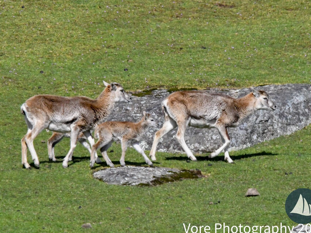 Deer Harbor Charters-Eastsound必去景点