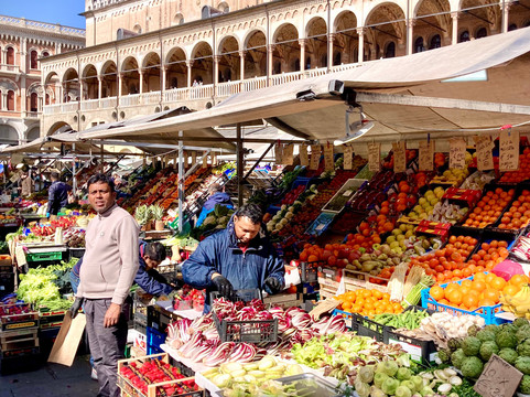Piazza delle Erbe-帕多瓦必去景点