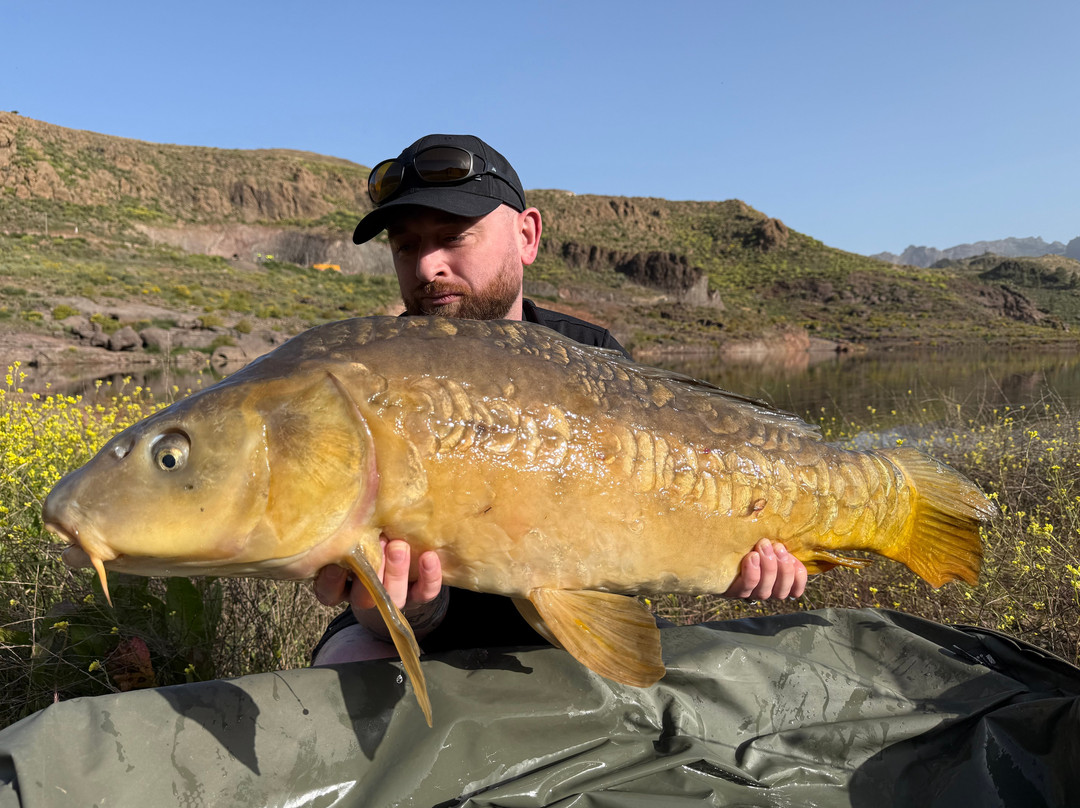 Carp Gran Canaria-San Bartolome de Tirajana必去景点