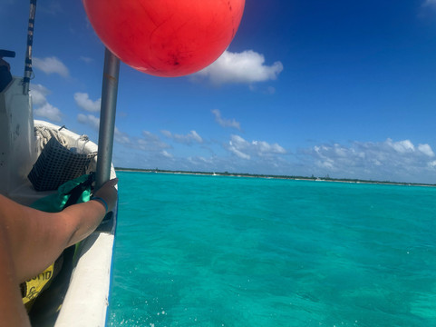 Secretoo-图伦必去景点