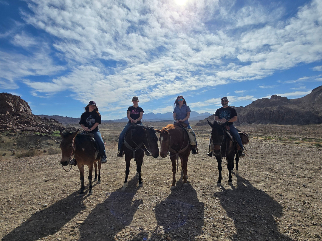 Big Bend & Lajitas Stables-Terlingua必去景点