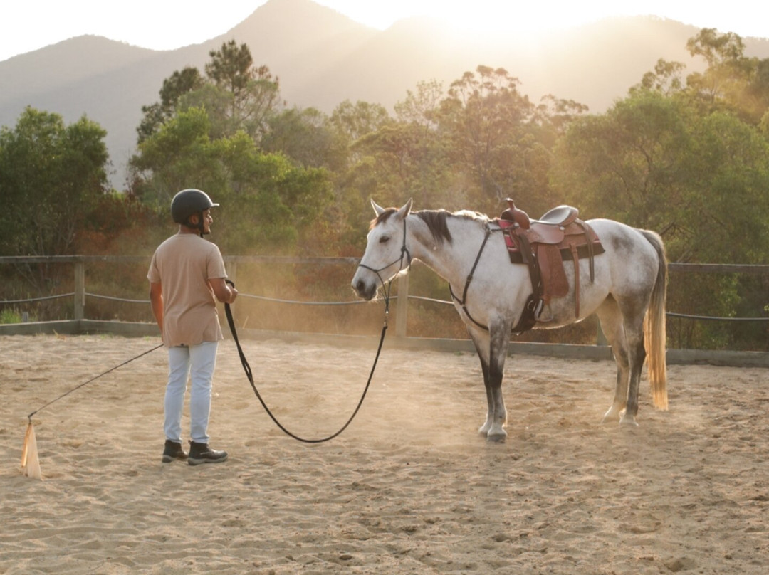 Trevena Glen Farm-Mount Samson必去景点
