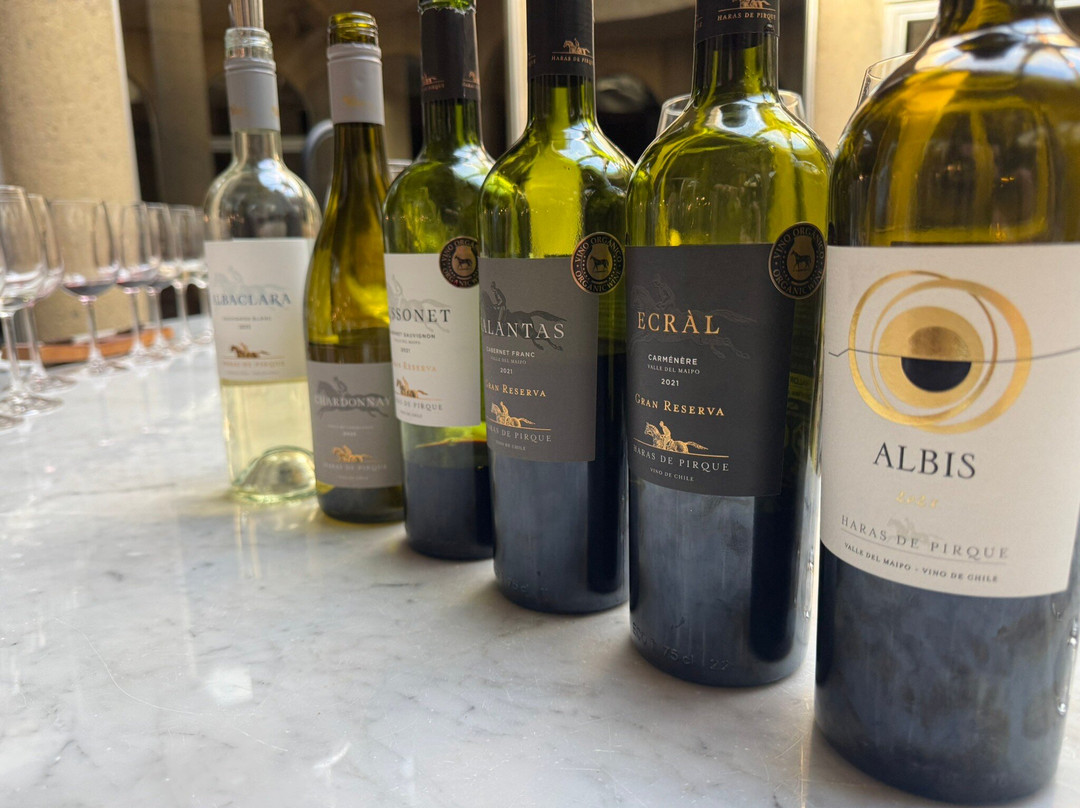 Viña Haras de Pirque-Pirque必去景点